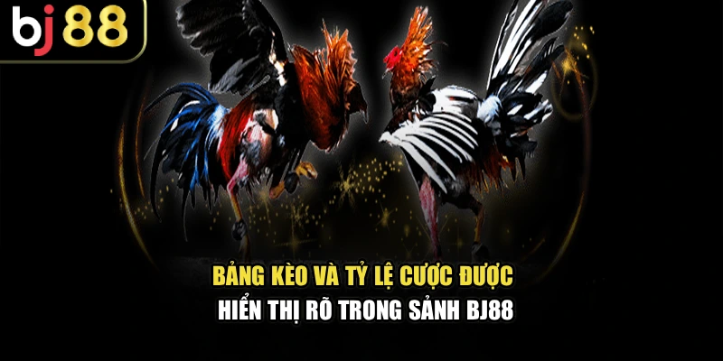 Bảng kèo và tỷ lệ cược được hiển thị rõ trong sảnh BJ88
