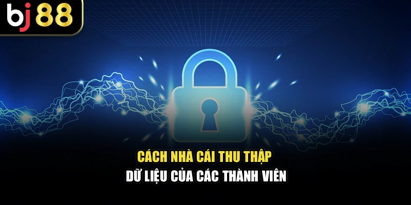 Cách nhà cái thu thập dữ liệu của các thành viên