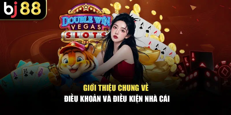 Giới thiệu chung về điều kiện điều khoản nhà cái