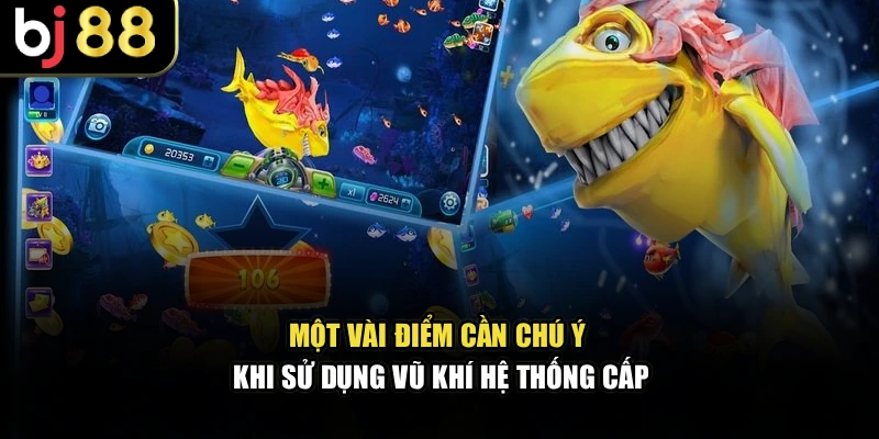 Một vài điểm cần chú ý khi sử dụng vũ khí hệ thống cấp