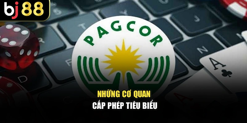 Những cơ quan cấp phép tiêu biểu