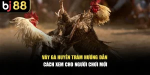 Vảy Gà Huyền Trâm - Hướng Dẫn Cách Xem Cho Người Chơi Mới